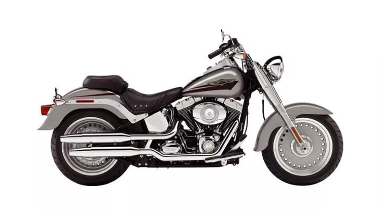 Фото Harley-Davidson FLSTF Fatboy