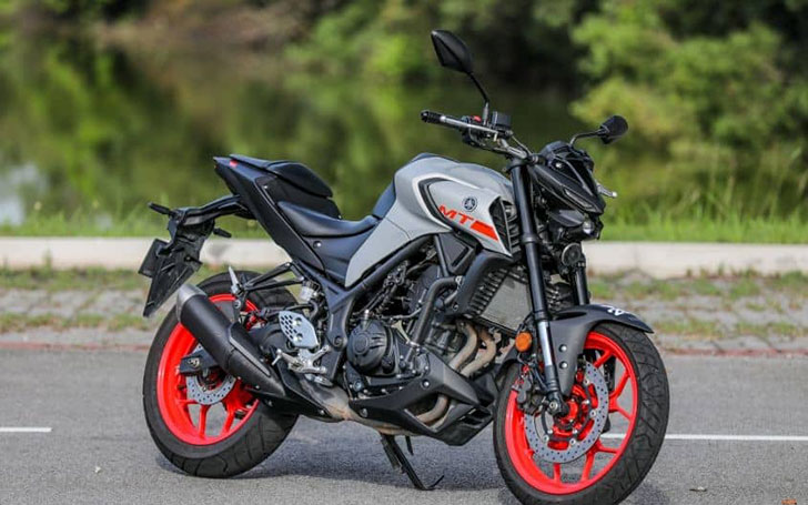 Yamaha MT-25 купить