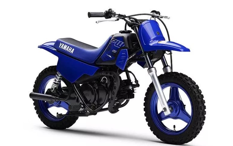 YAMAHA PW50