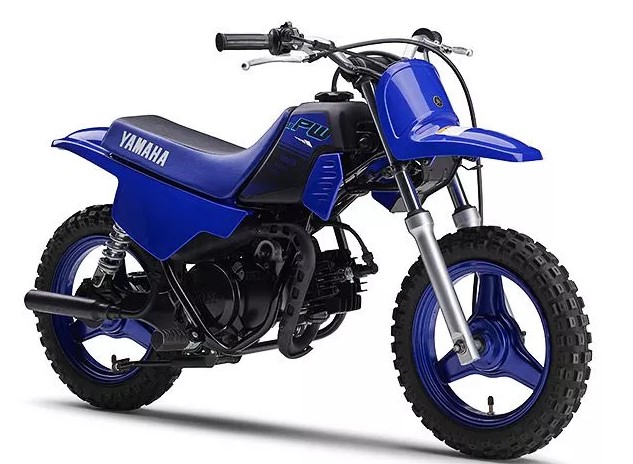 YAMAHA PW50 Screenshot_2.jpg